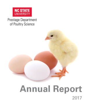 annual report cover