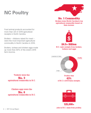 annual report page 4