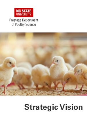 PDPS Strategic Vision booklet cover